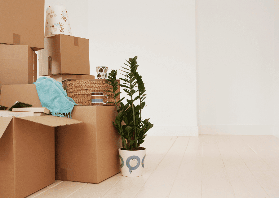 mudança compartilhada