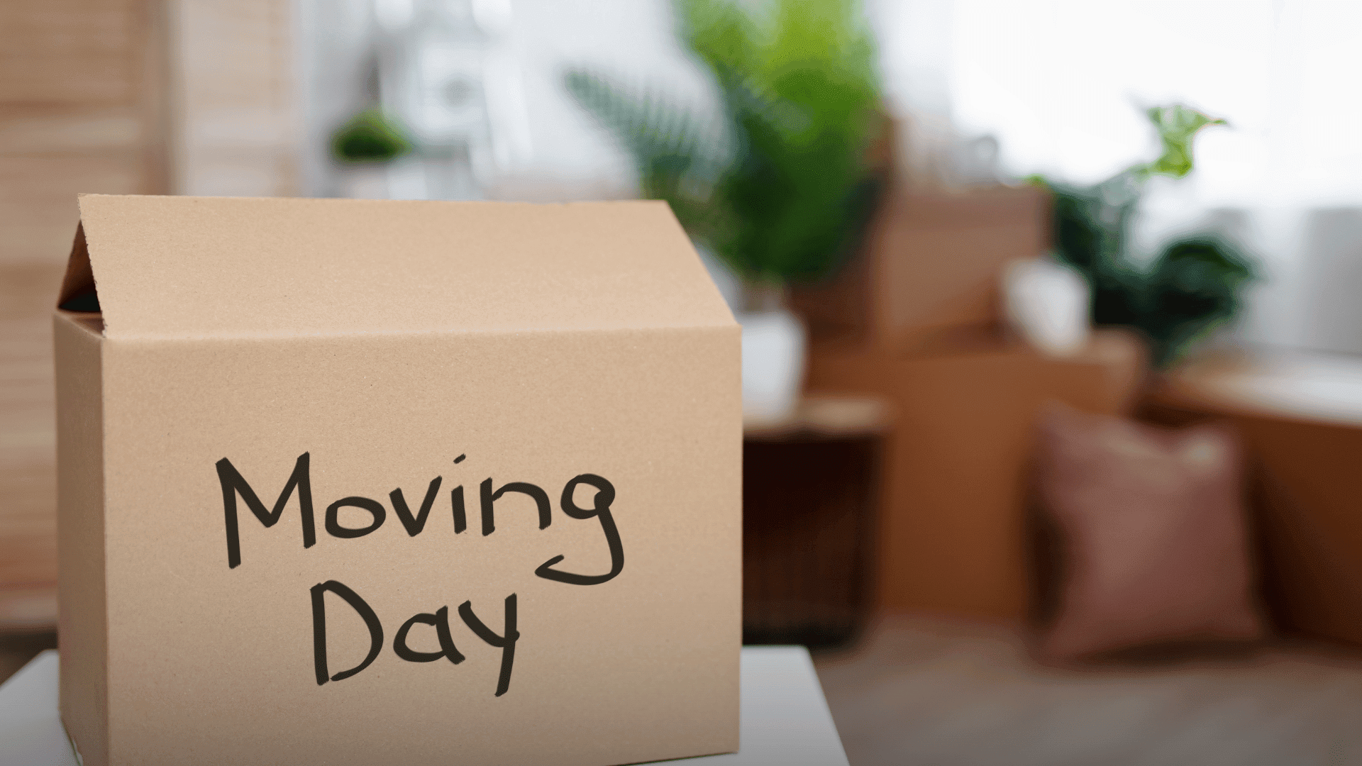 Empresa de mudança de alto padrão no Rio de Janeiro