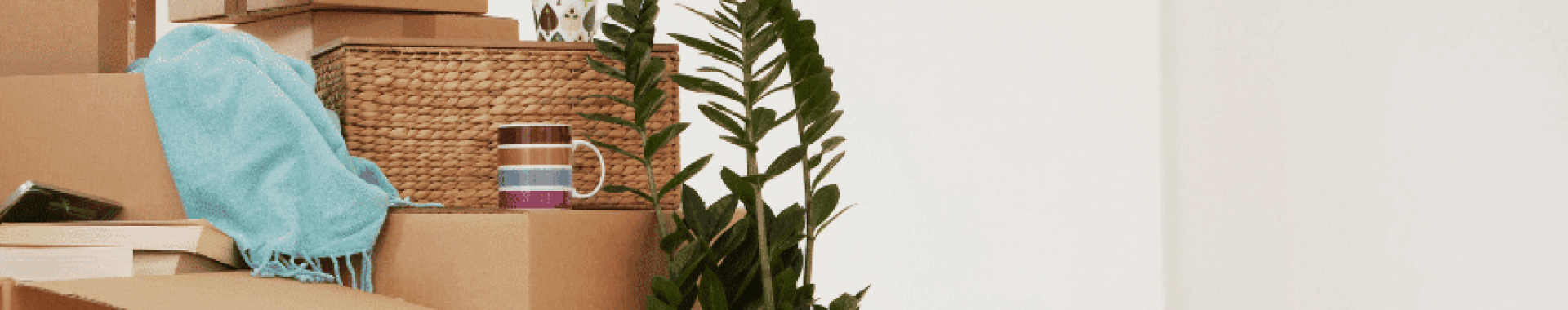 Dicas para desempacotar após a mudança Dicas para desempacotar após a mudança